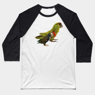 Mountain Parakeet and Parrot Baseball T-Shirt